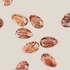 Opuntia Fig Extract